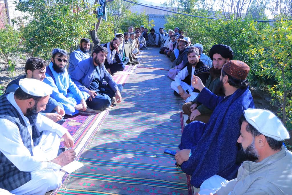 عامه پوهاوی