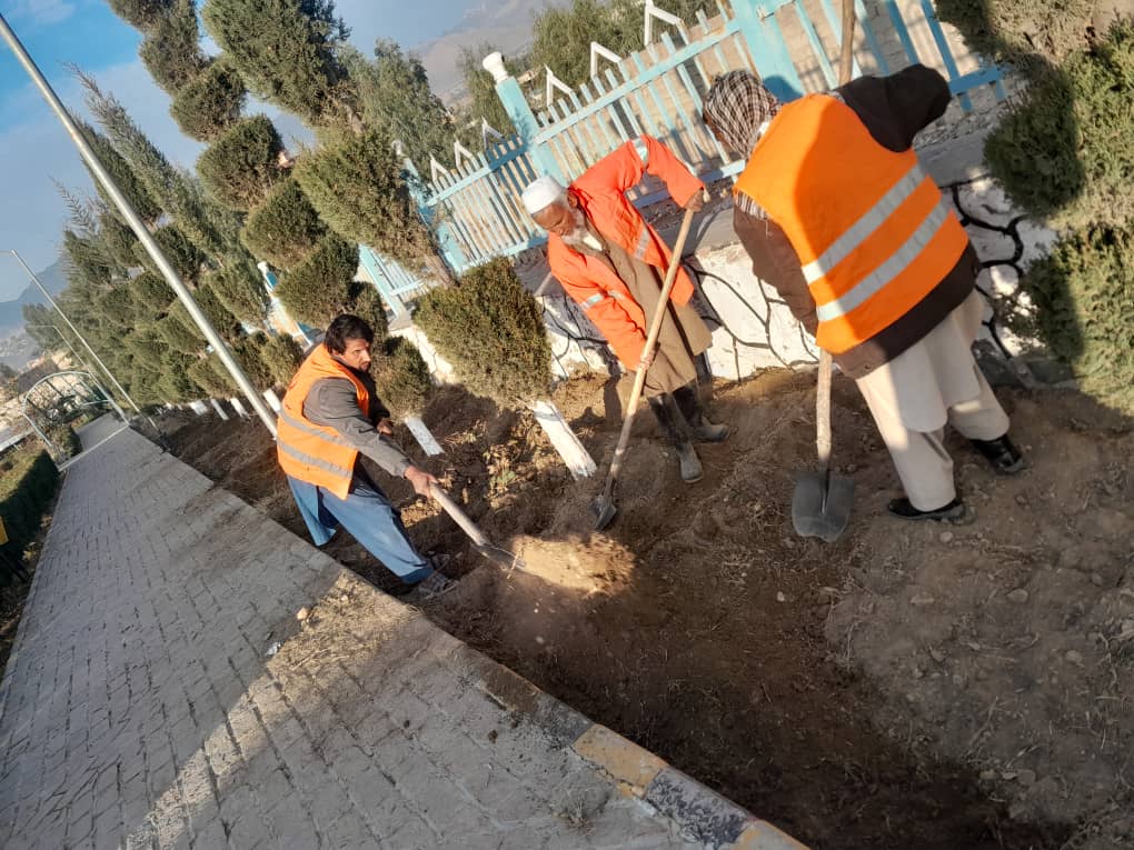 د ګلدانونو منظم کول