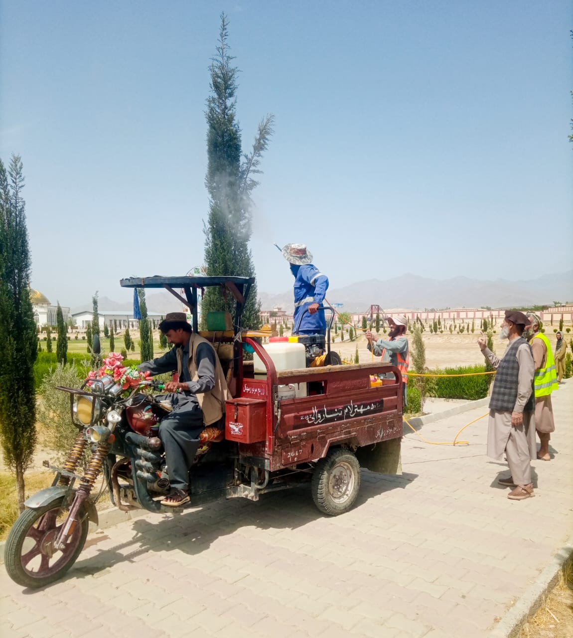 د پارکونو سرسبزه
