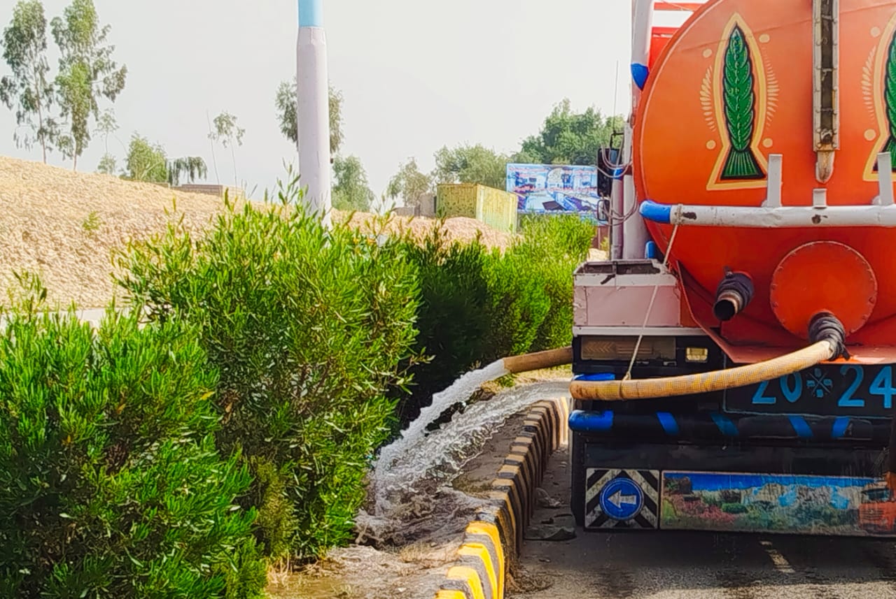 سرسبزي چارې