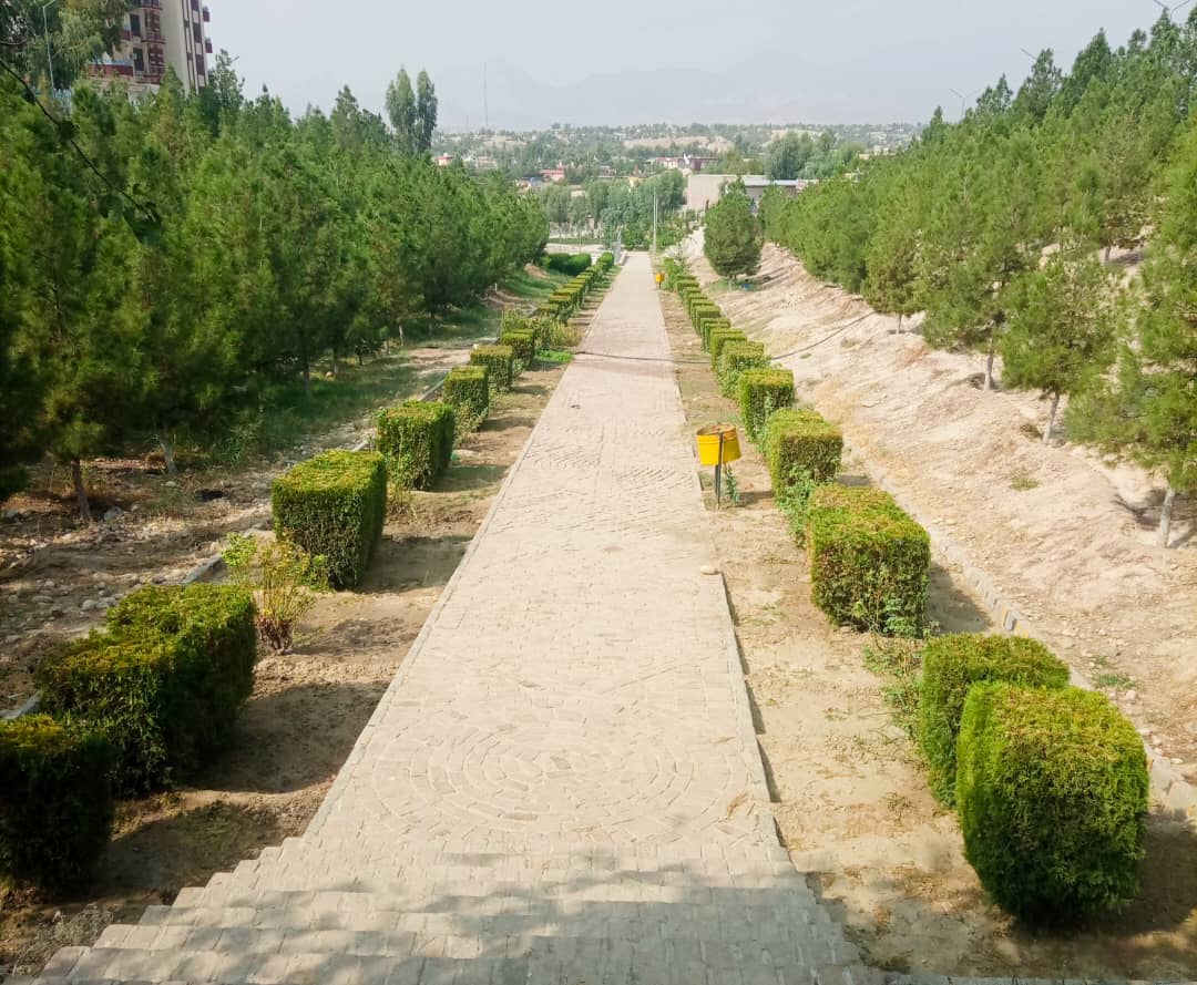 پارکونه