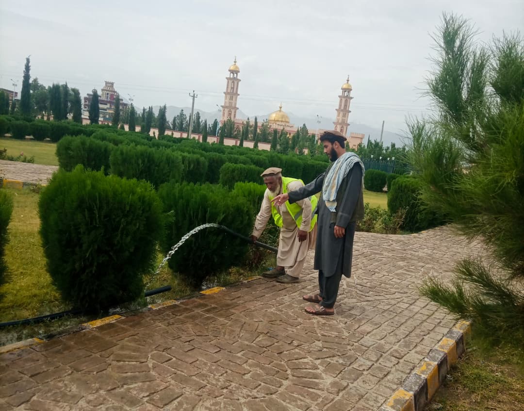 سرسبزې